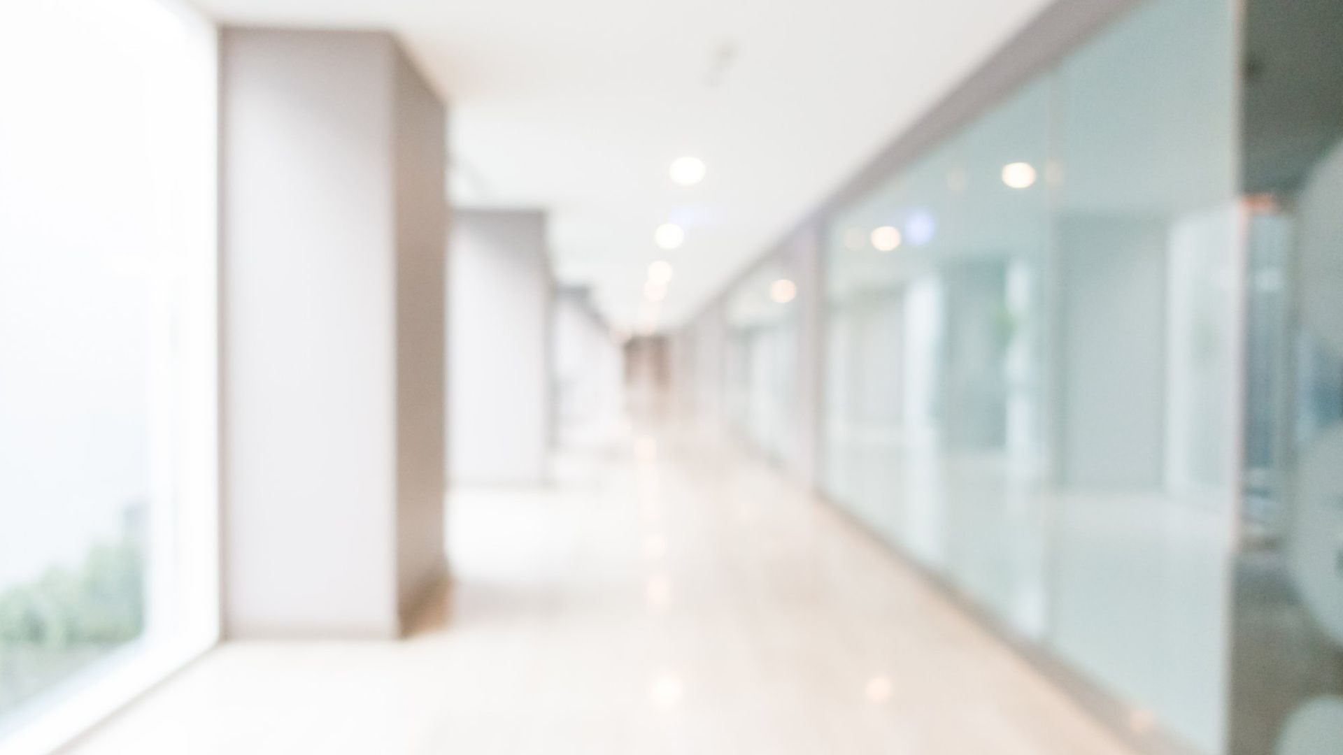 <span>Welkom bij</span> <span>Misier</span>